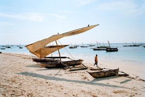 Zanzibar local fishing